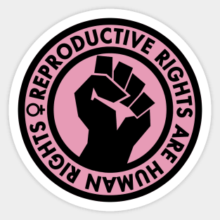 Reproductive Rights are Human Rights (pink) Sticker